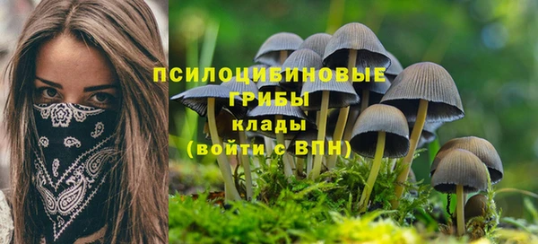 PSILOCYBIN Белокуриха